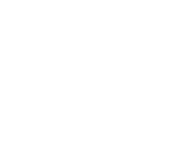 Govern Transport logo